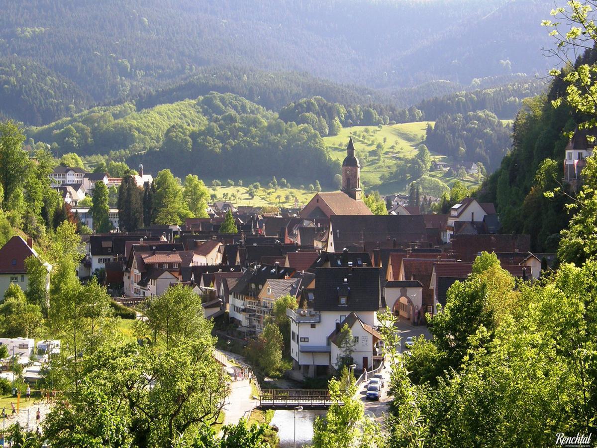 Ferienwohnung am Hauskopf Oppenau Exterior foto